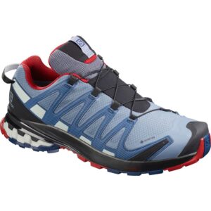 Salomon Xa Pro 3d V8 Goretex EU 40 2/3 Flint Stone / Sargasso Sea / Red Dahlia