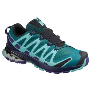 Salomon Xa Pro 3d V8 Goretex EU 42 2/3 Shaded Spruce / Evening Blue / Meadowbr