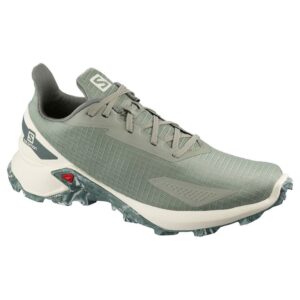 Salomon Alphacross Blast EU 46 2/3 Shadow / Vanilla Ice / Castor Gray