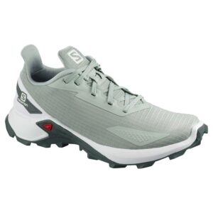 Salomon Alphacross Blast EU 40 2/3 Aqua Gray / White / Balsam Green