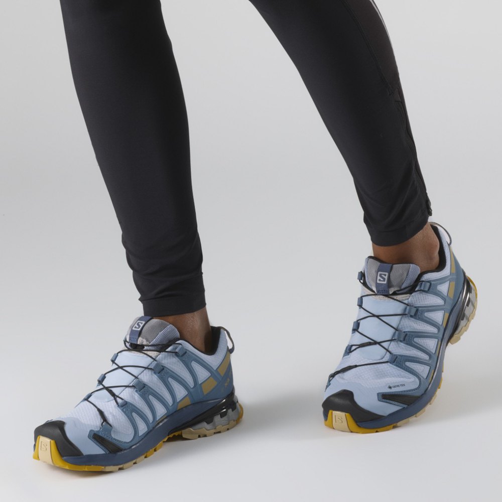 Salomon Xa Pro 3d V8 Goretex EU 43 1/3 Kentucky Blue / Dark Denim / Pale  Khaki - Zapatillas Deporte